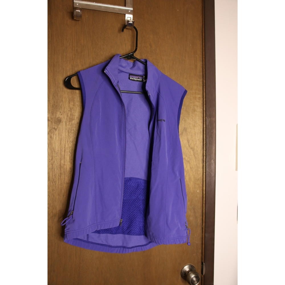 Patagonia Synchilla Lightweight Vest